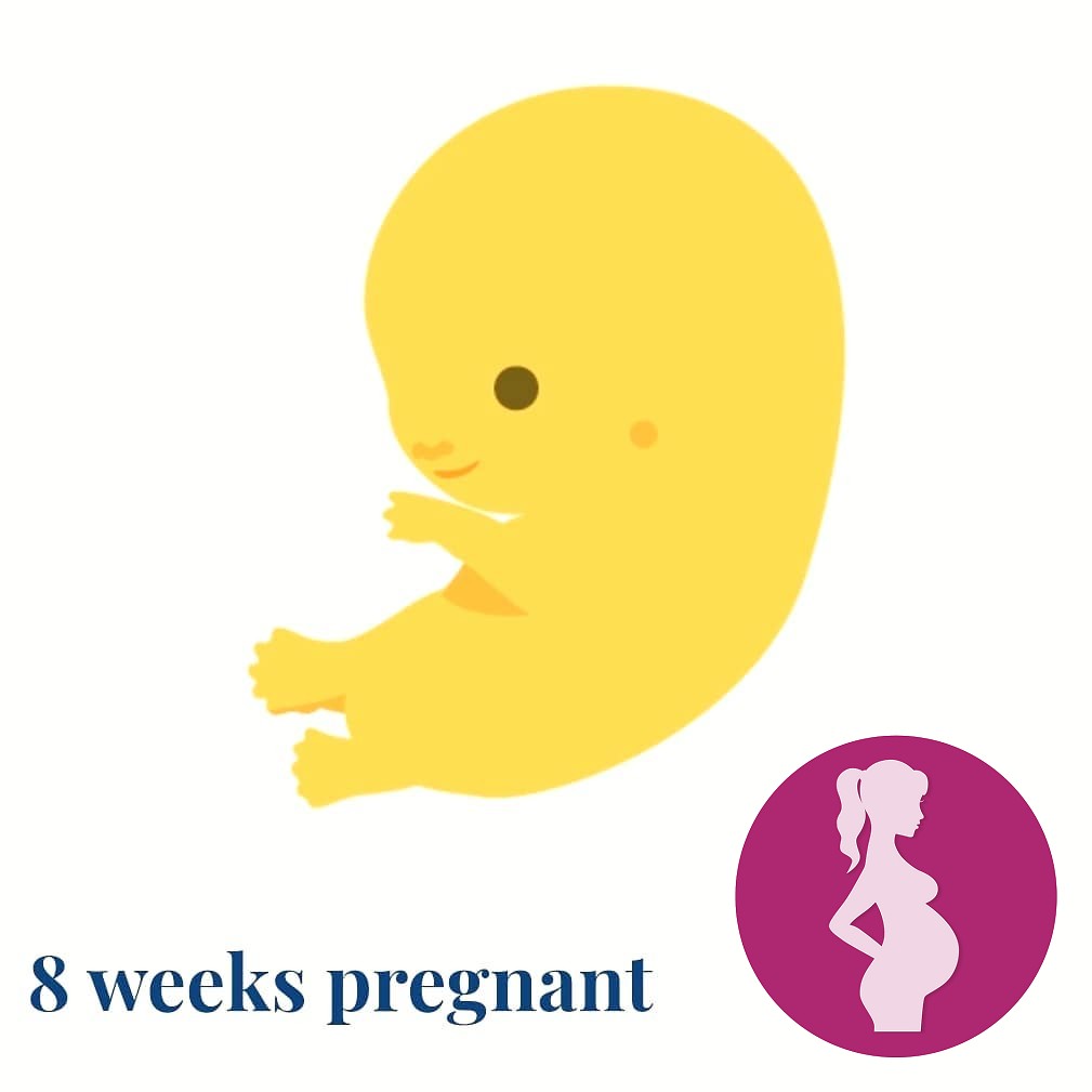 8 weeks.I was so excited to see teeny tiny hands and feet show up on the app toda…