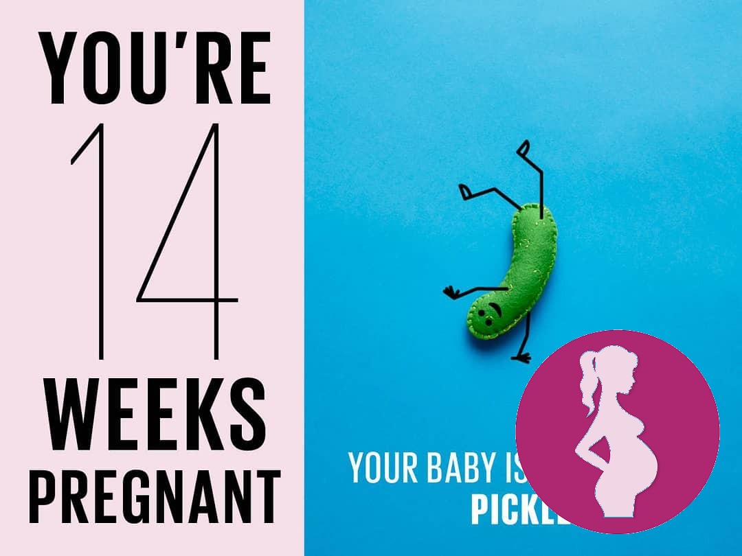 14 weekssecond trimester and I still havent taken any weekly photos. I compared this pregnancy to …