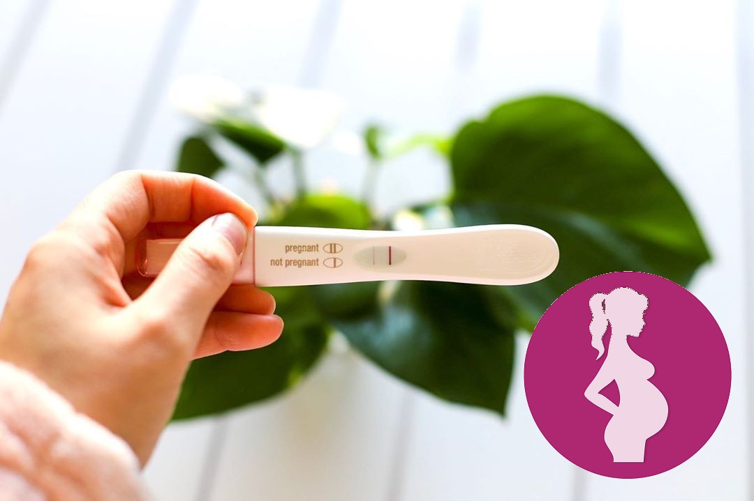 TWO LINES I am currently fighting a head cold, I left work yesterday and had a feeling I was pregna…