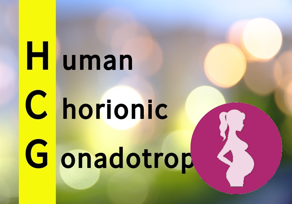 hCG or human chorionic gonadtrophin is known as the pregnancy hormone. This hormone is produced by t…