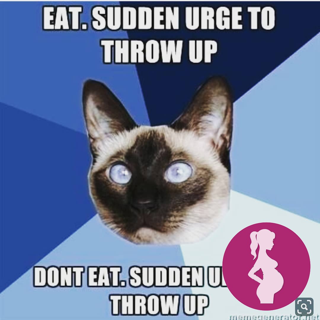 Got a little cocky earlier in the week when the nausea seemed to be subsiding… the last few da…